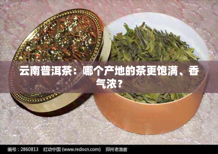 云南普洱茶：哪个产地的茶更饱满、香气浓？