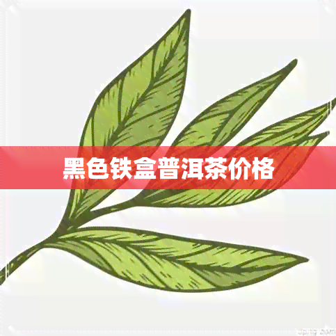 黑色铁盒普洱茶价格