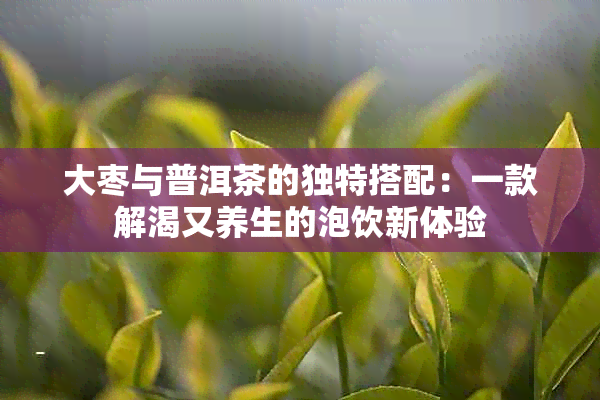 大枣与普洱茶的独特搭配：一款解渴又养生的泡饮新体验