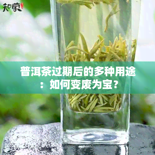 普洱茶过期后的多种用途：如何变废为宝？