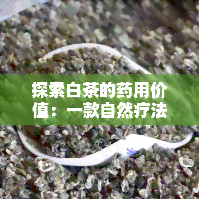 探索白茶的用价值：一款自然疗法的益处解析