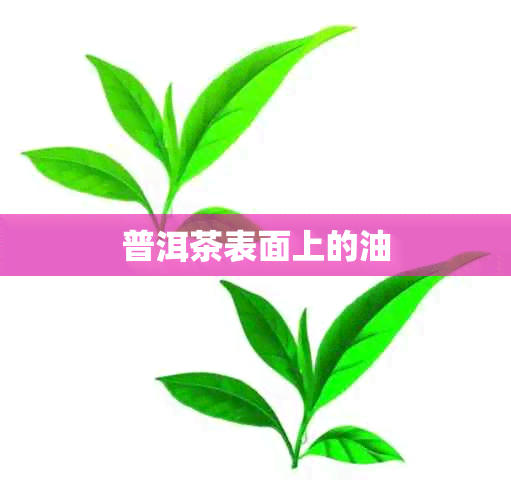 普洱茶表面上的油