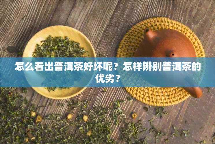 怎么看出普洱茶好坏呢？怎样辨别普洱茶的优劣？