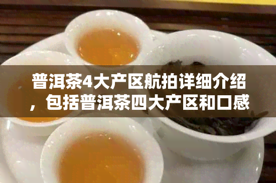 普洱茶4大产区航拍详细介绍，包括普洱茶四大产区和口感。