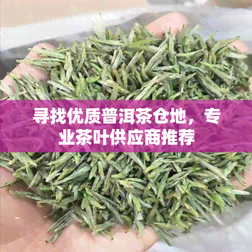 寻找优质普洱茶仓地，专业茶叶供应商推荐