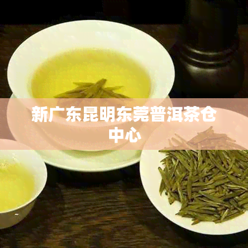 新广东昆明东莞普洱茶仓中心