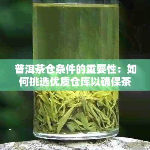 普洱茶仓条件的重要性：如何挑选优质仓库以确保茶叶品质？