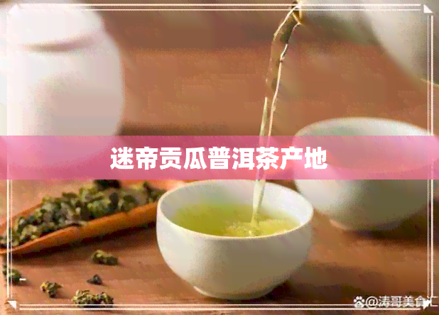 迷帝贡瓜普洱茶产地