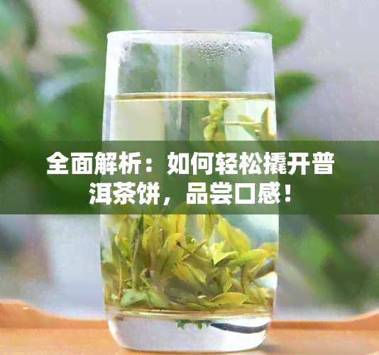 全面解析：如何轻松撬开普洱茶饼，品尝口感！