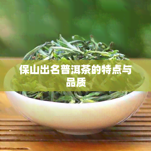 保山出名普洱茶的特点与品质