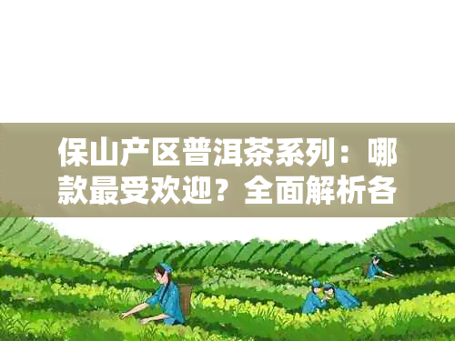 保山产区普洱茶系列：哪款更受欢迎？全面解析各大热门茶叶品种特点与口感