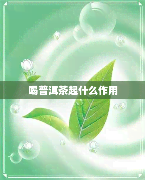 喝普洱茶起什么作用