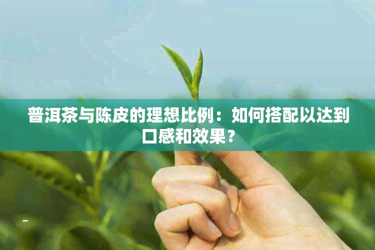 普洱茶与陈皮的理想比例：如何搭配以达到口感和效果？