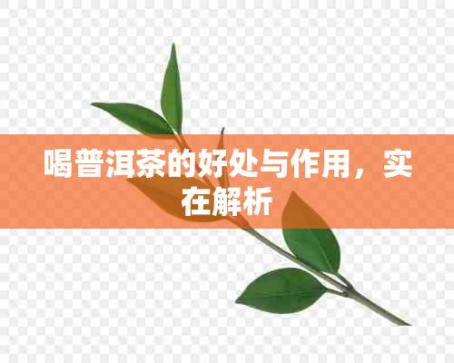 喝普洱茶的好处与作用，实在解析