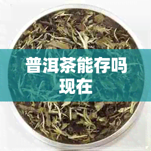 普洱茶能存吗现在