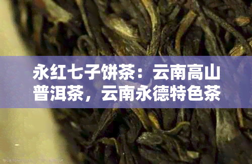 永红七子饼茶：云南高山普洱茶，云南永德特色茶，永明茶厂品质保证