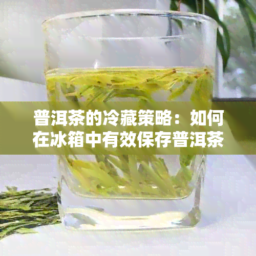 普洱茶的冷藏策略：如何在冰箱中有效保存普洱茶叶