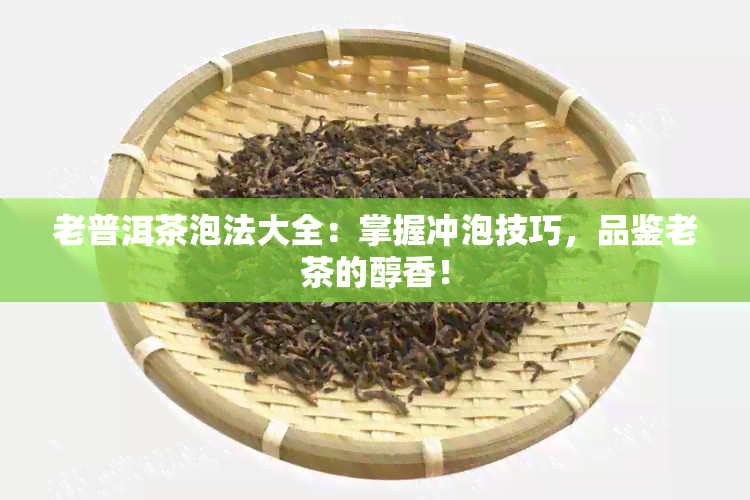 老普洱茶泡法大全：掌握冲泡技巧，品鉴老茶的醇香！