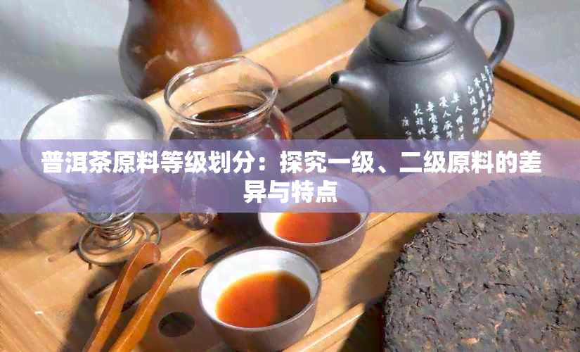 普洱茶原料等级划分：探究一级、二级原料的差异与特点