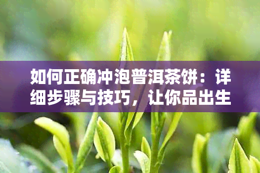 如何正确冲泡普洱茶饼：详细步骤与技巧，让你品出生茶的魅力