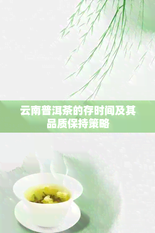 云南普洱茶的存时间及其品质保持策略