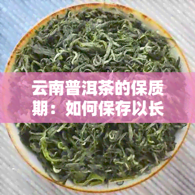 云南普洱茶的保质期：如何保存以长茶叶的有效期限？