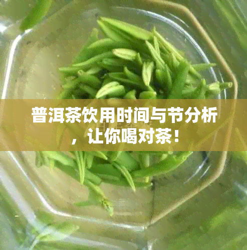 普洱茶饮用时间与节分析，让你喝对茶！