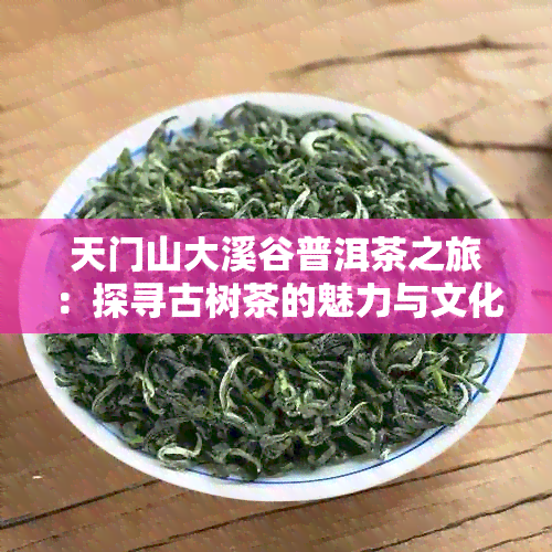 天门山大溪谷普洱茶之旅：探寻古树茶的魅力与文化底蕴