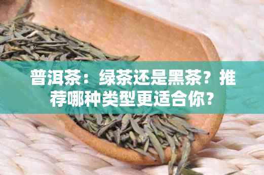 普洱茶：绿茶还是黑茶？推荐哪种类型更适合你？