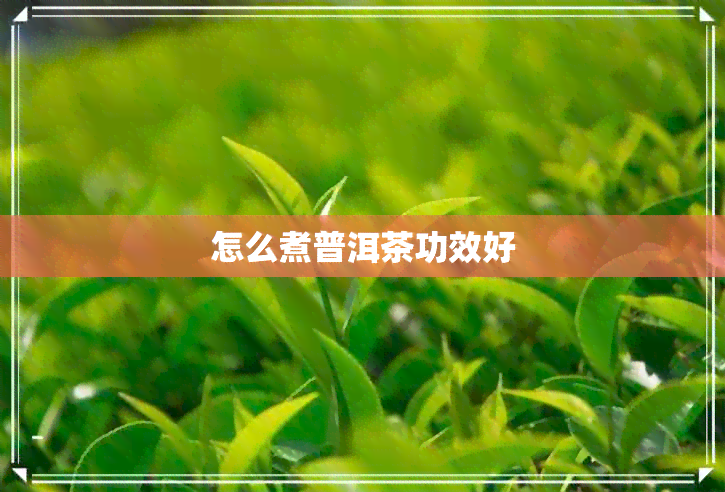 怎么煮普洱茶功效好