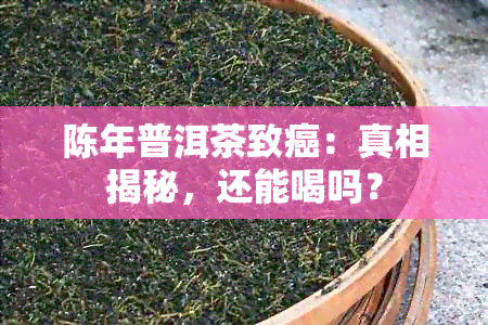 陈年普洱茶致癌：真相揭秘，还能喝吗？