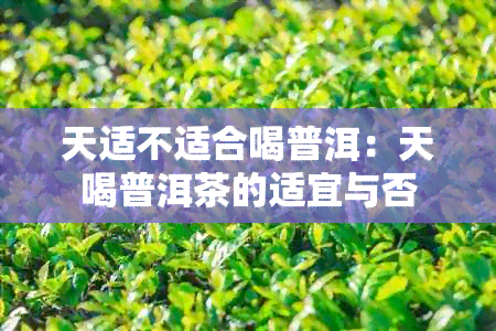 天适不适合喝普洱：天喝普洱茶的适宜与否