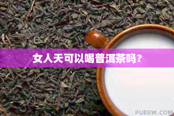 女人天可以喝普洱茶吗？