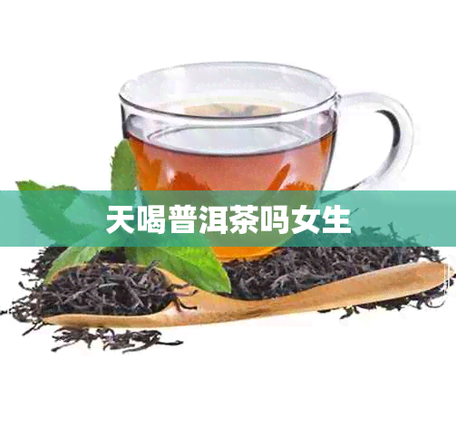 天喝普洱茶吗女生