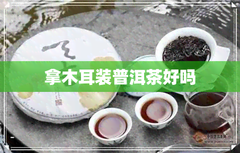 拿木耳装普洱茶好吗