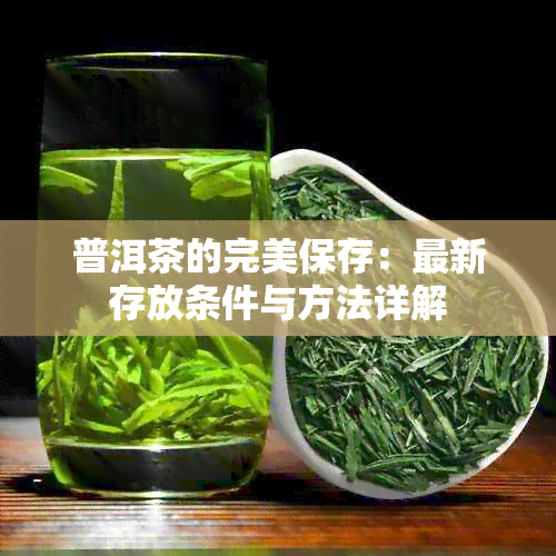 普洱茶的完美保存：最新存放条件与方法详解