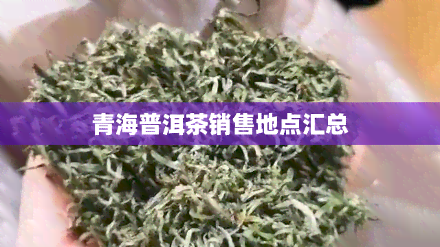 青海普洱茶销售地点汇总