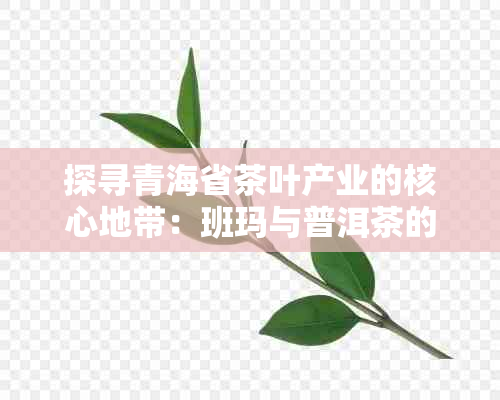 探寻青海省茶叶产业的核心地带：班玛与普洱茶的奥秘