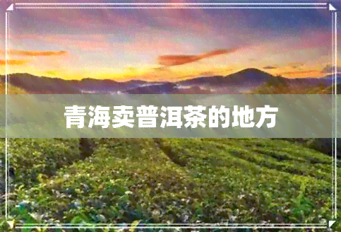 青海卖普洱茶的地方