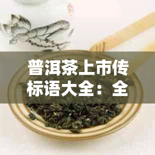 普洱茶上市传标语大全：全面解析普洱茶的品质、产地、冲泡方法与收藏价值