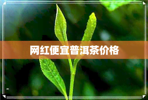 网红便宜普洱茶价格