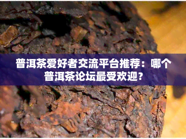 普洱茶爱好者交流平台推荐：哪个普洱茶论坛更受欢迎？