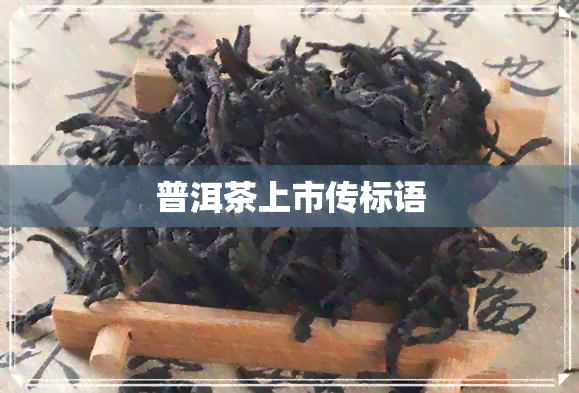 普洱茶上市传标语