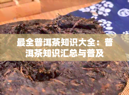 最全普洱茶知识大全：普洱茶知识汇总与普及