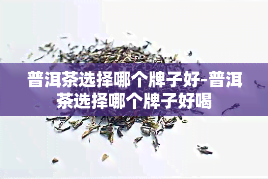 普洱茶选择哪个牌子好-普洱茶选择哪个牌子好喝