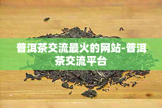 普洱茶交流最火的网站-普洱茶交流平台