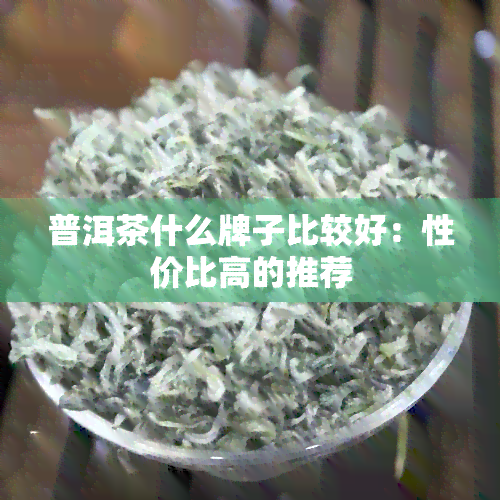 普洱茶什么牌子比较好：性价比高的推荐