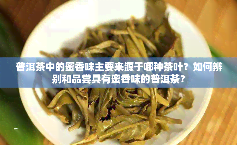 普洱茶中的蜜香味主要来源于哪种茶叶？如何辨别和品尝具有蜜香味的普洱茶？