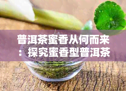 普洱茶蜜香从何而来：探究蜜香型普洱茶的产生及其独特味道