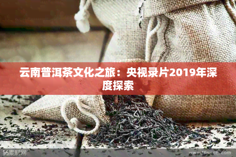 云南普洱茶文化之旅：央视录片2019年深度探索